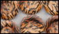 Preview: Holzknopf "Tiger", 3 cm