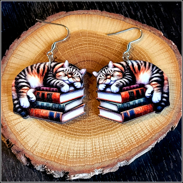 Ohrschmuck „Katze & Bücher“